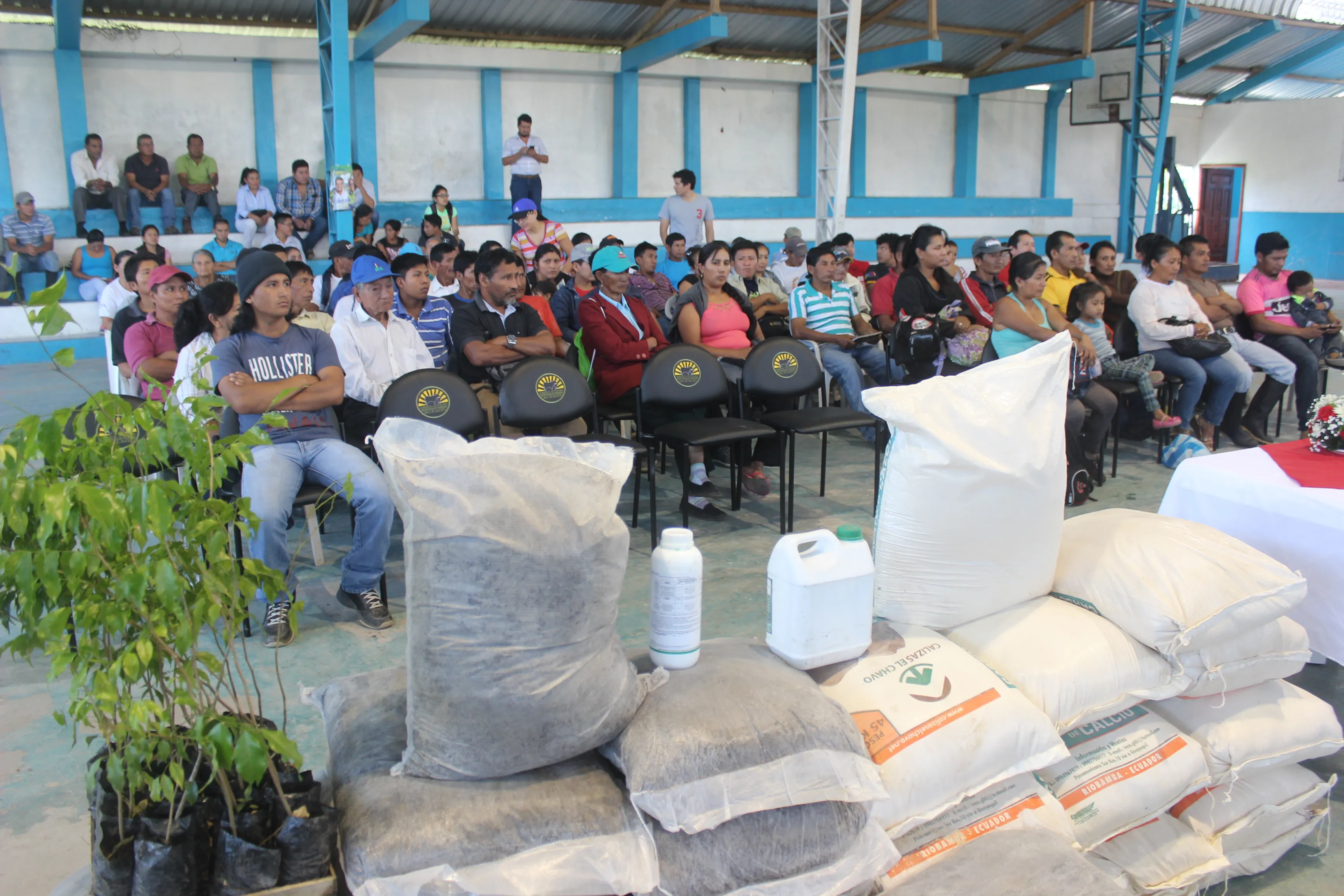 Insumos asignados a productores de Pastaza.