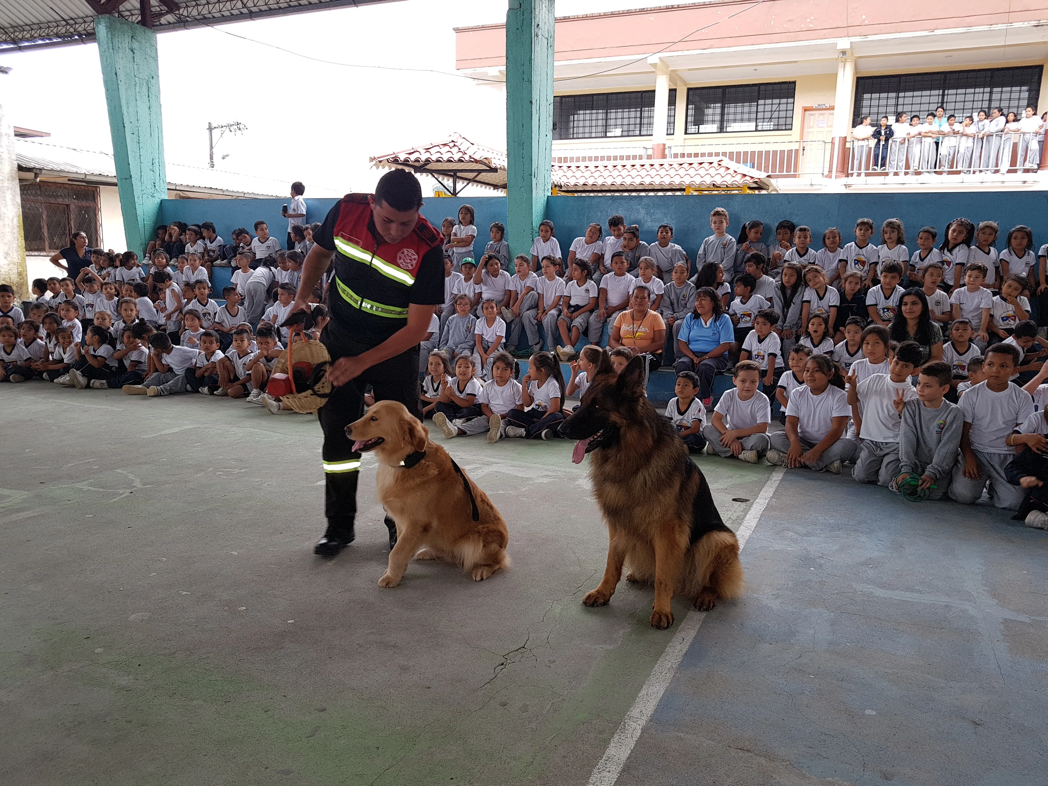 GUÍAS DE CANES DE ,LOS BOMBEROS EN ESTA UNIDAD EDUCATIVA