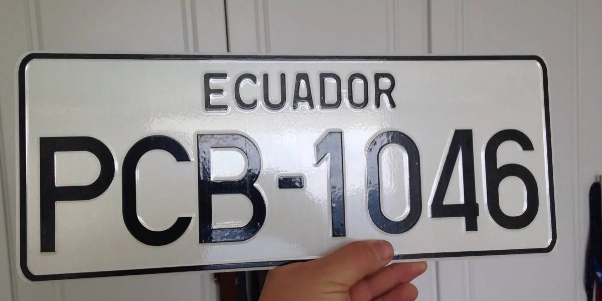PLACA CUYO DÍGITO TERMINA EN 6