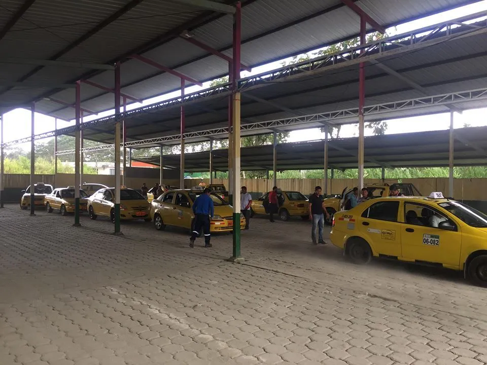LOS VEHÍCULOS EN ESTAS FECHAS ACUDEN EN GRAN CANTIDAD